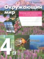 Окружающий мир 4 класс тетрадь для тренировки и самопроверки Чудинова Е.В.