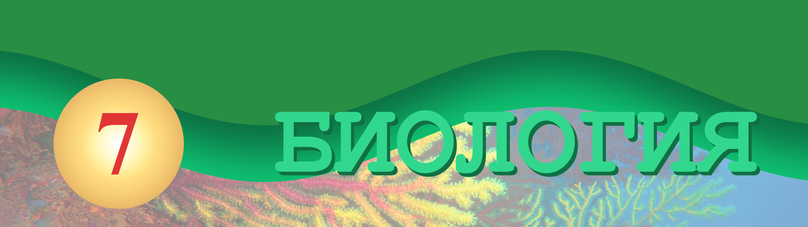 Готовые ответы по Биологии 7 класс Сухорукова, Кучменко Сферы на Гдз Путина